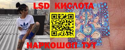 индика Сосновый Бор