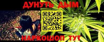 индика Сосновый Бор