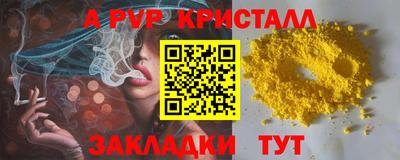индика Сосновый Бор
