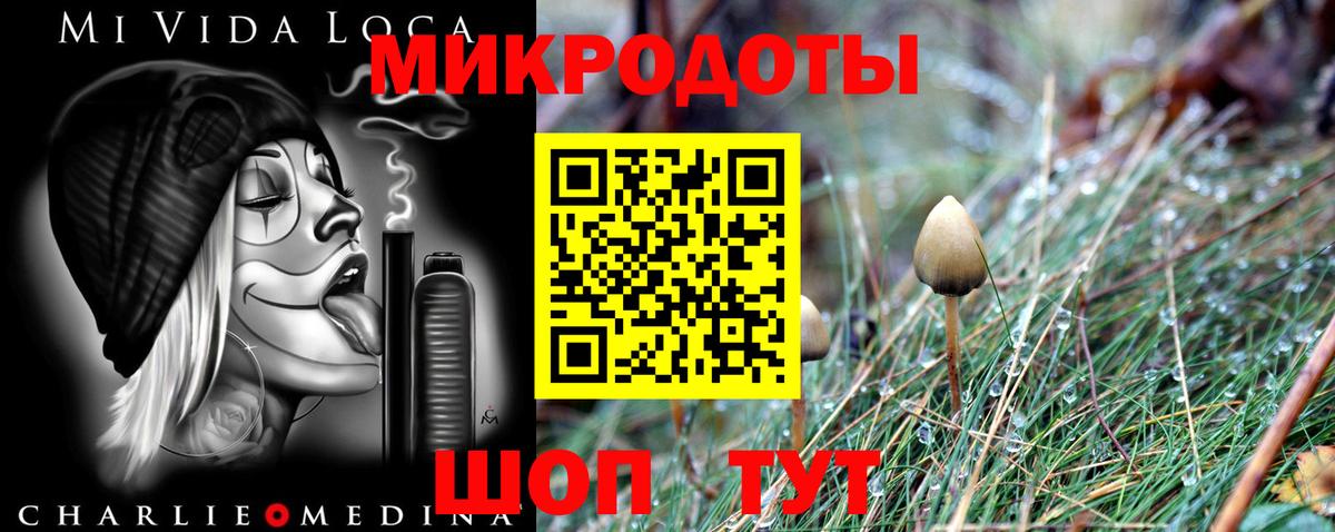 Асино  Псилоцибиновые грибы Psilocybe  Вход с VPN 